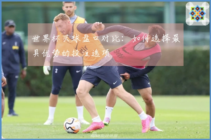 世界杯买球盘口对比：如何选择最具优势的投注选项